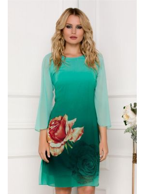 fro270010_verde_rochie-ella-collection-roua-verde-din-voal-cu-trandafir-imprimat.jpg